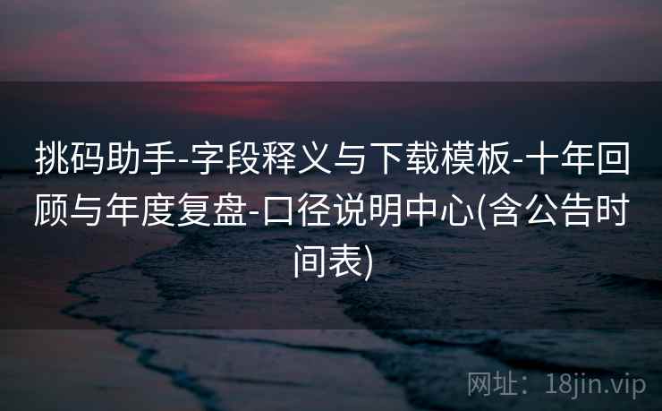 挑码助手-字段释义与下载模板-十年回顾与年度复盘-口径说明中心(含公告时间表)